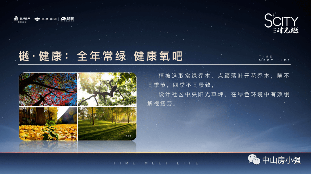 魔笛最新款探讨，一种观点的深度分析