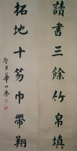四字时代印记，领域影响下的最新词汇探索