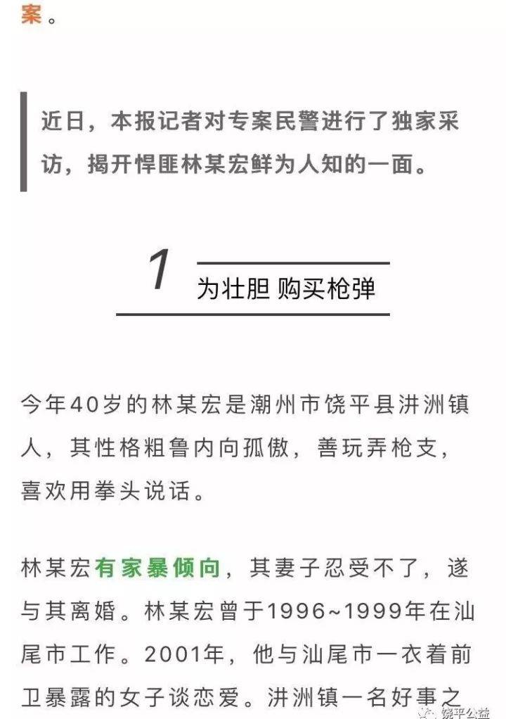 饶平枪击案最新进展及关注跟进的详细步骤指南