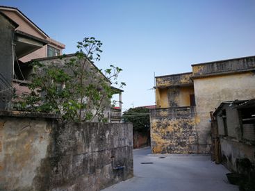 茯云最新作品揭秘，小巷中的独特风味——隐藏版特色小店探索