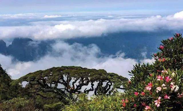 六安疫情最新动态，自然探索之旅助力重拾内心宁静