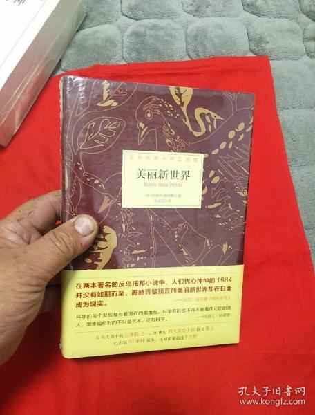 新美丽新世界，探索与反思的旅程
