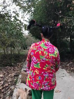 翠花最新版本回顾与未来展望