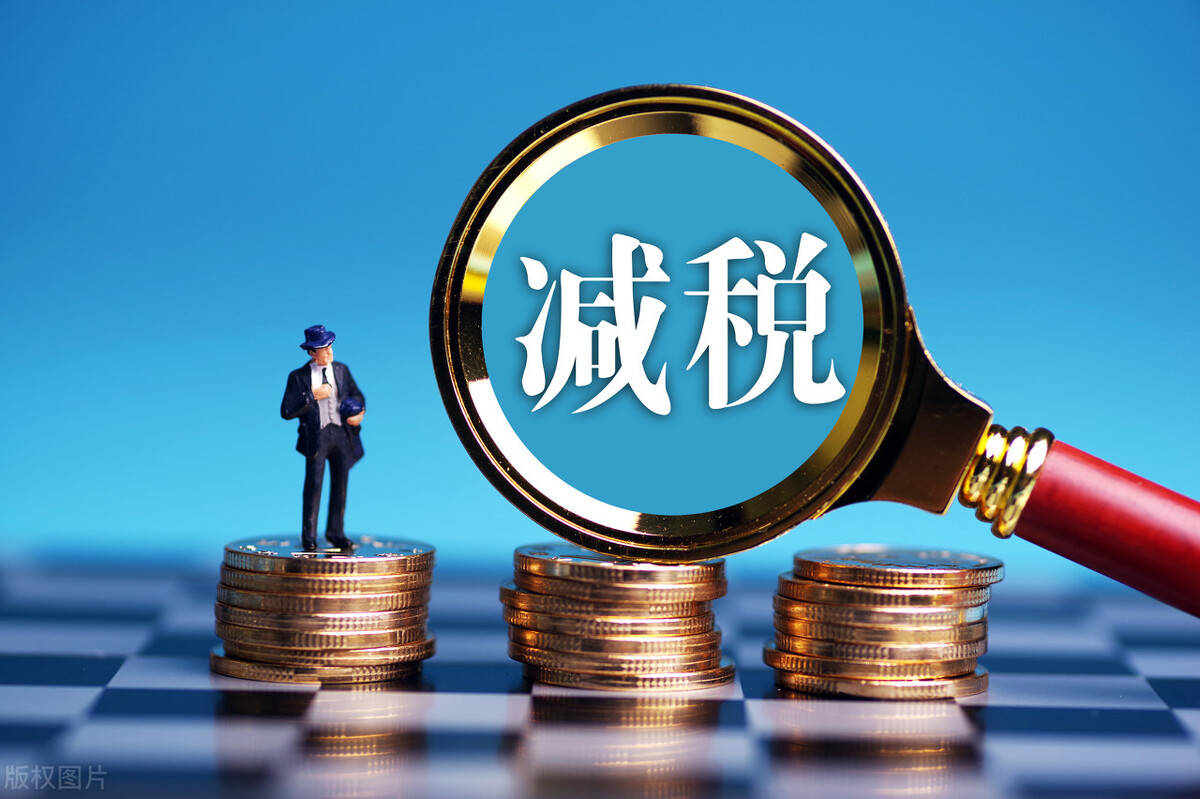 返宁最新政策深度解读与观点阐述