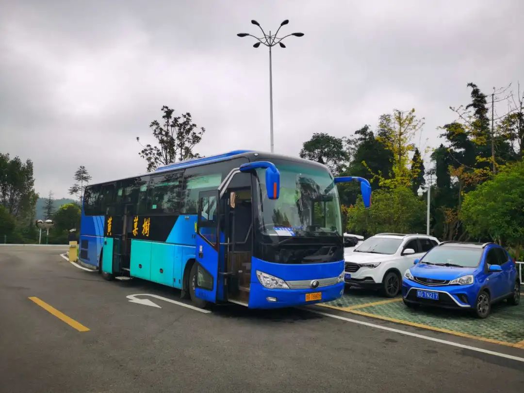 贵州安顺大巴车最新奇遇记概述