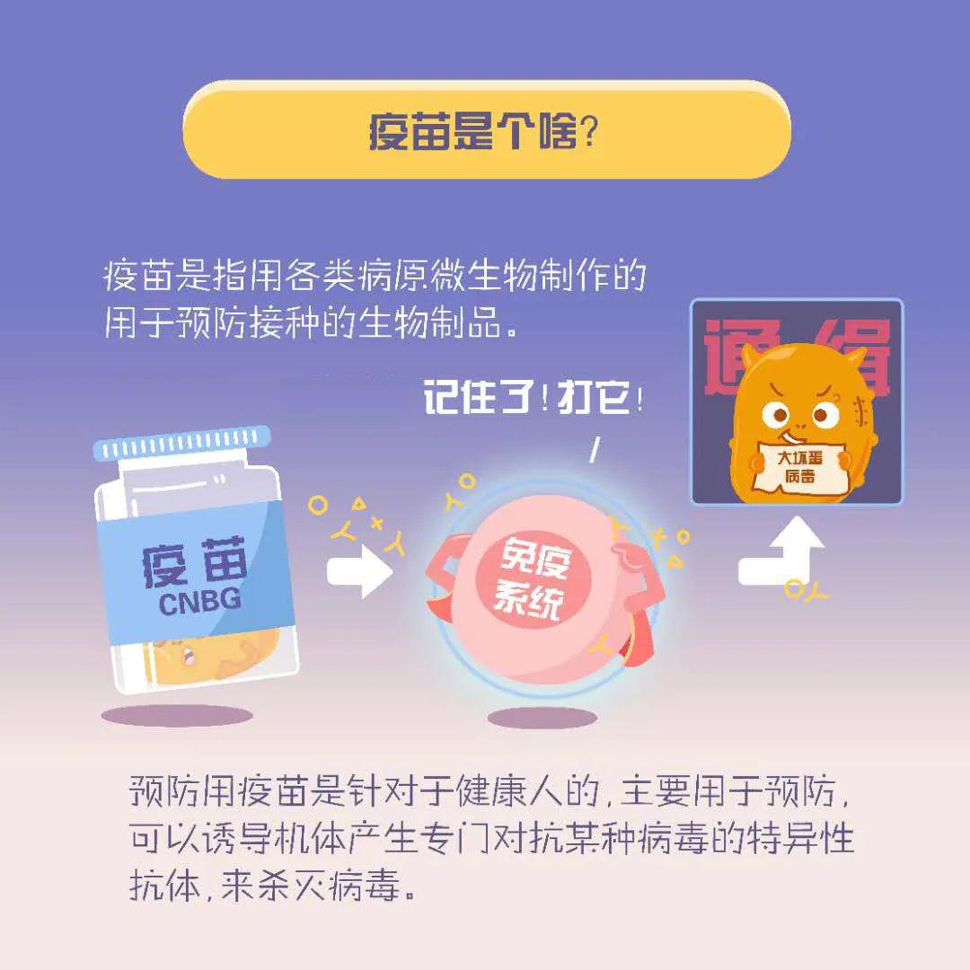 美国新冠疫情最新通报，小城抗疫日常与友情纽带的故事