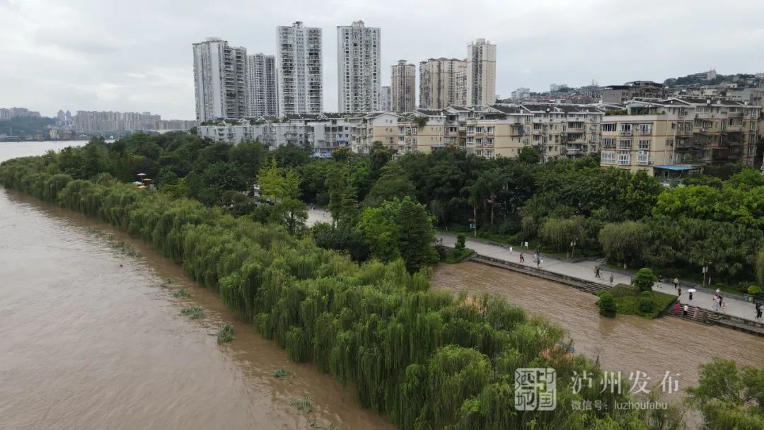 泸州洪峰最新消息，水情动态及应对策略更新发布