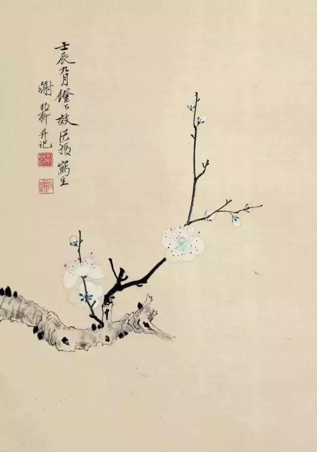 活力四溢的晚年生活新篇章，最新中老年人风采展示🌸