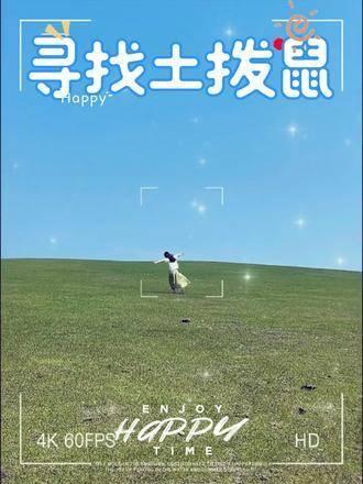 蓝月棋牌最新版，与自然美景的邂逅，探索内心平和的棋牌之旅