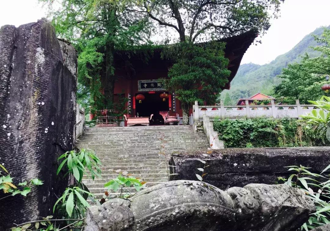 山东女子被虐致死事件背后的真相与小巷神秘美食秘境的探寻