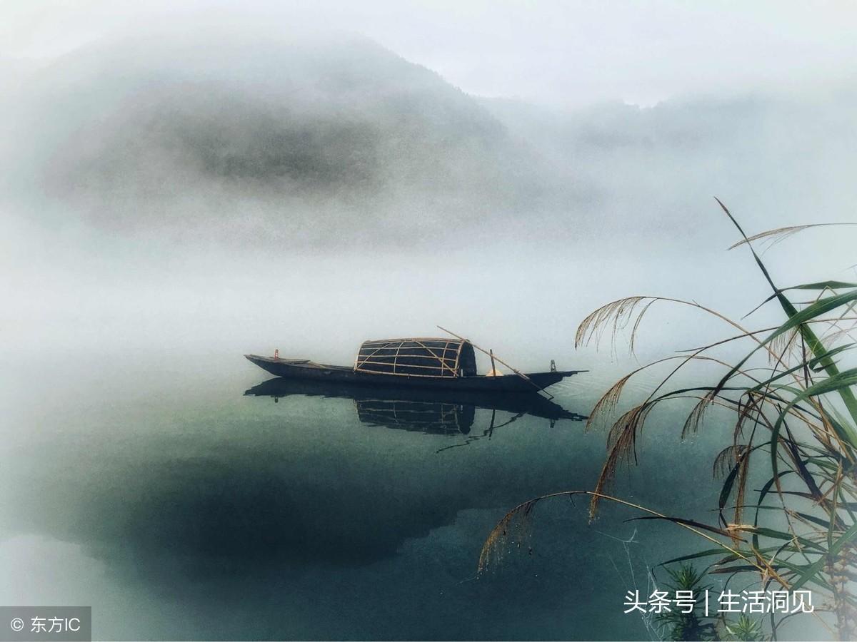 B站最新版，自然美景探索之旅，内心宁静的追寻