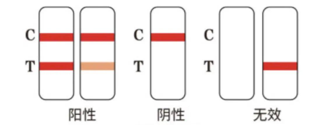 全国新冠病毒最新动态，力量与希望的转变