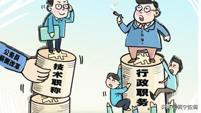 参公最新政策解读，全面解读最新参公政策动态