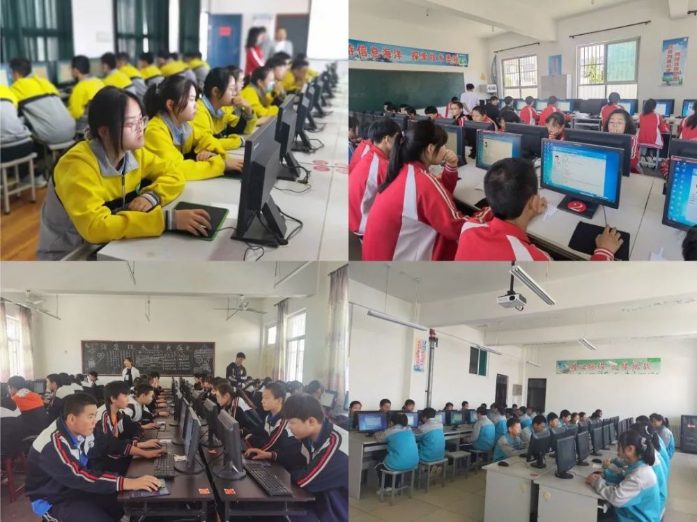 魏县最新一期任务指南，完成某项任务或学习新技能的攻略与指南