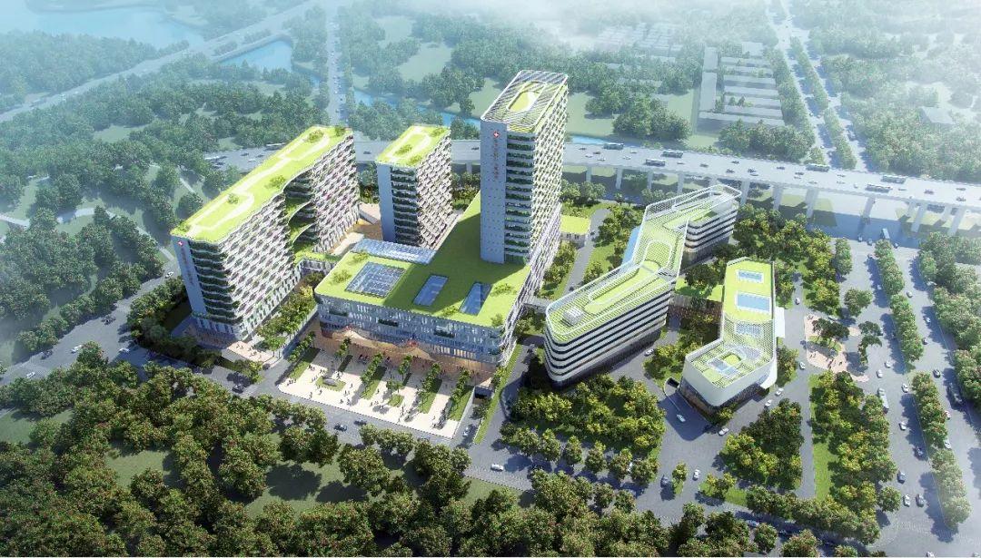 粤港澳健康码，新时代湾区健康通行的无缝对接篇章
