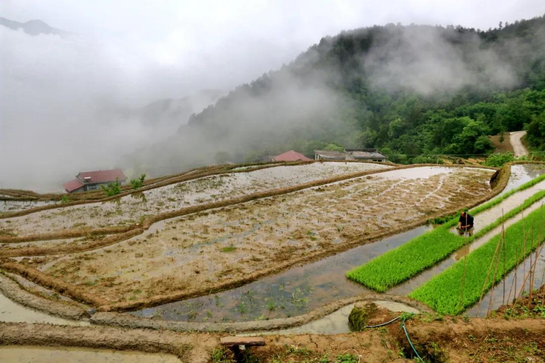 外国游客探索中国自然美景，追寻内心宁静之旅