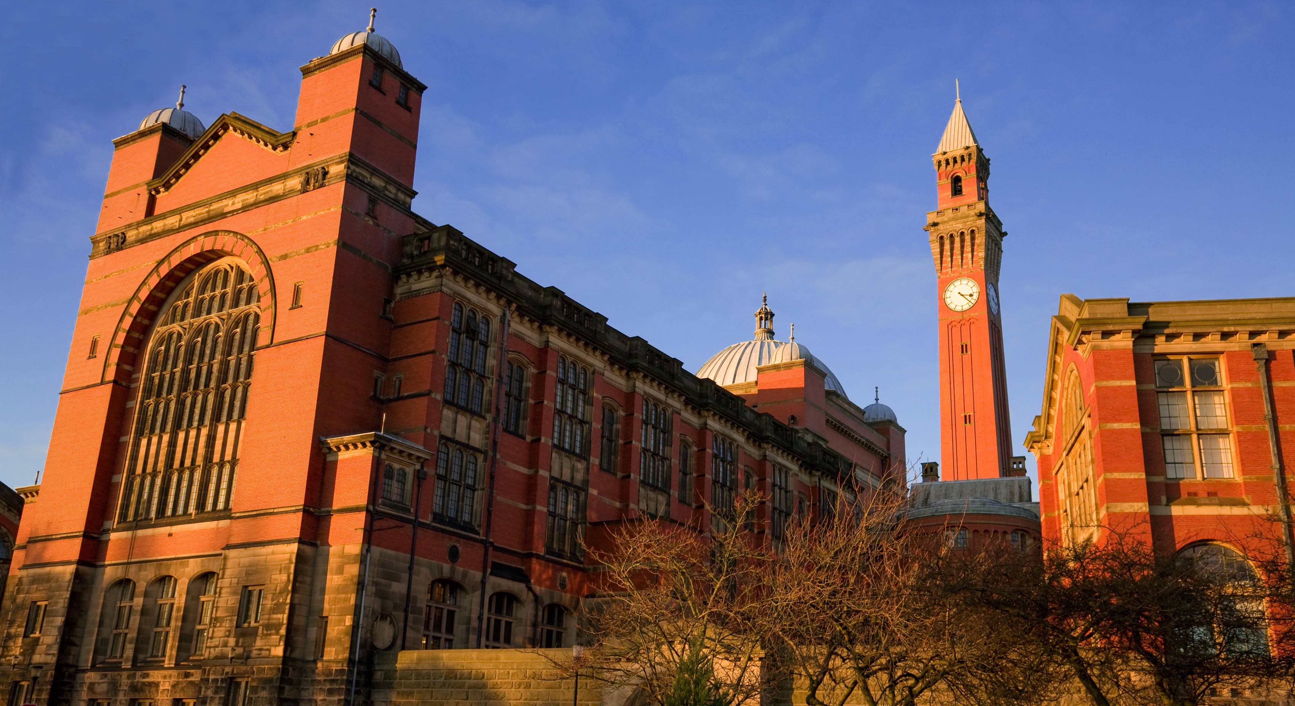 英国大学最新动态概览