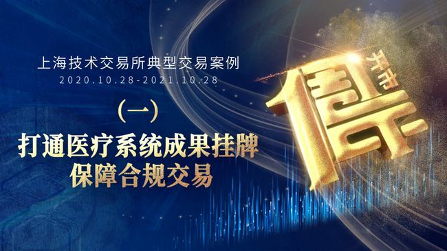蝙蝠最新动态，智慧变化中的自信与成就之力