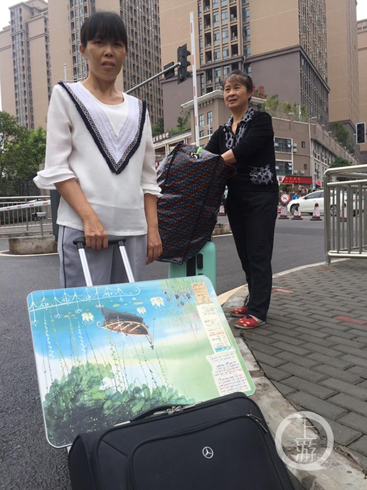 高校软件最新版下载，一场软件的奇妙冒险探索之旅