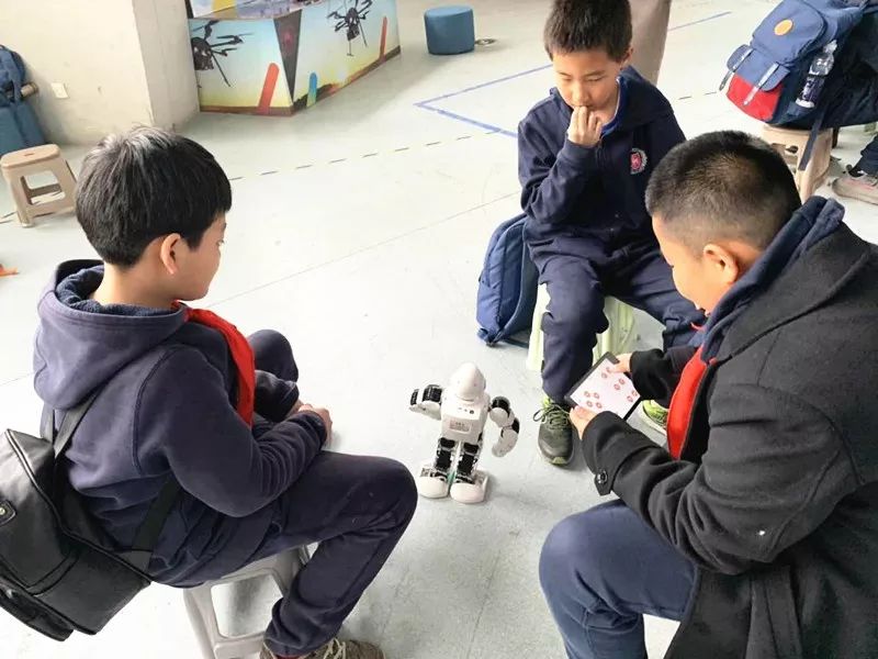 衡水园博园最新动态，科技盛宴开启，未来生活抢先体验