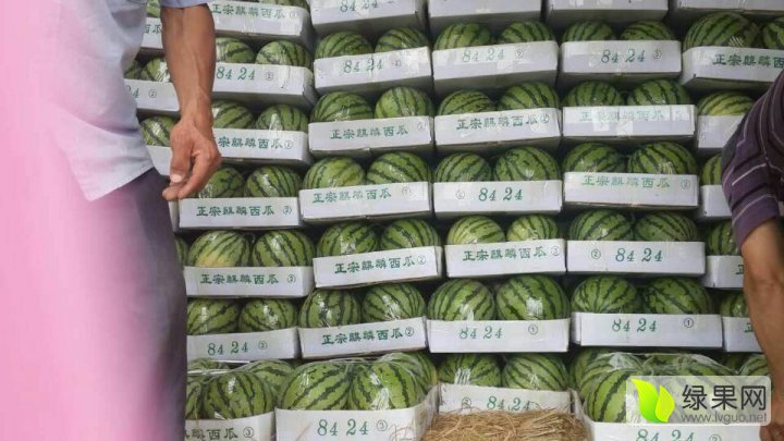 西瓜市场行情走势分析，最新趋势与预测