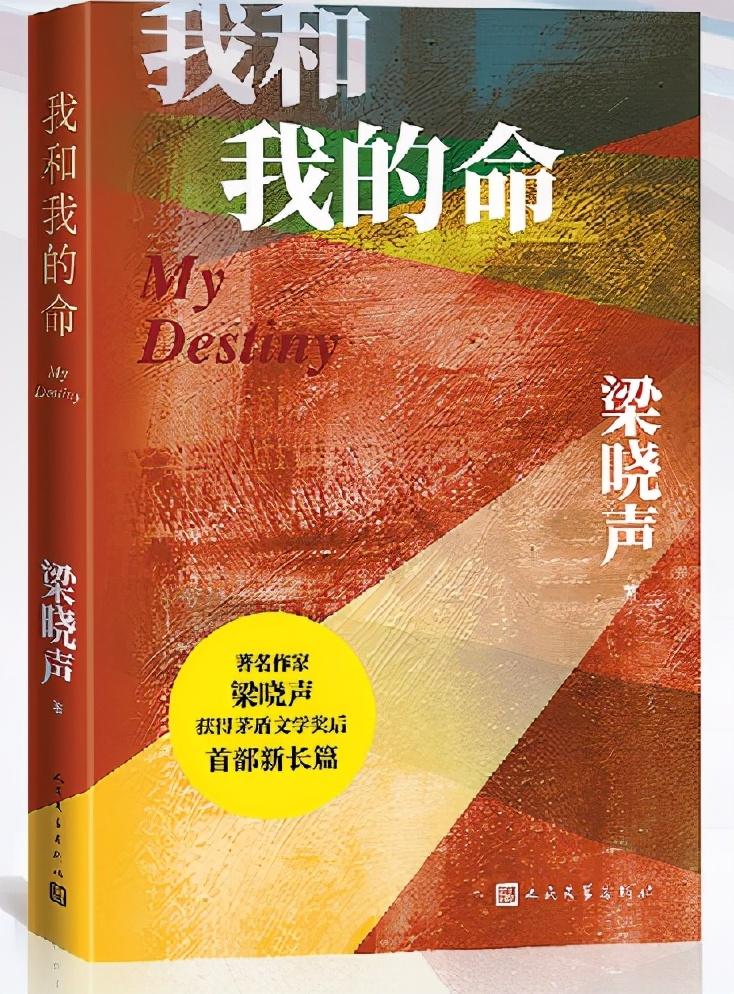 电视剧农村剧，乡土风情与时代变迁的生动展现