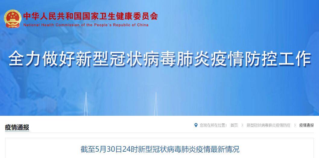 岳阳肺炎疫情最新动态，深入分析与观点阐述