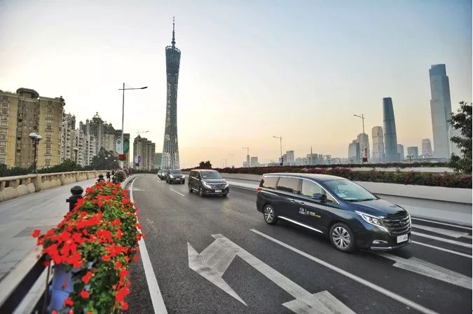 东北貉皮市场价格变动中的机遇与自信力量探索