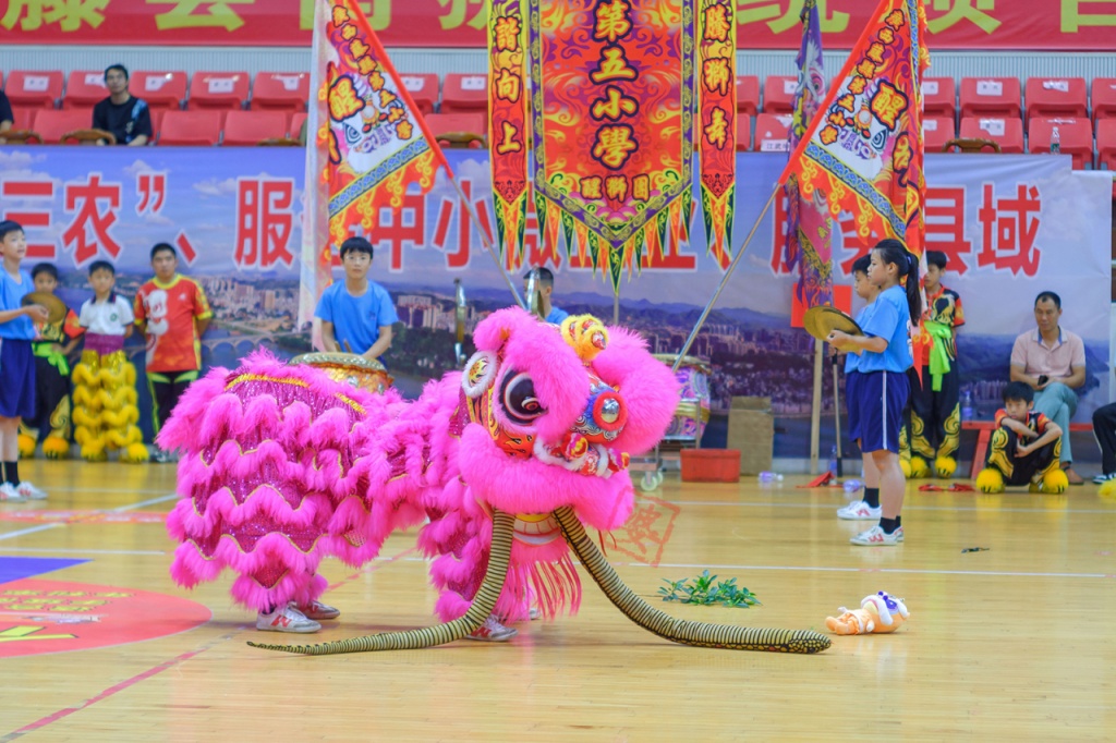 醒狮表演比赛，传统与活力的完美交融
