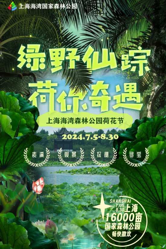 第七色最新入口，自然美景探索之旅的欢乐启程