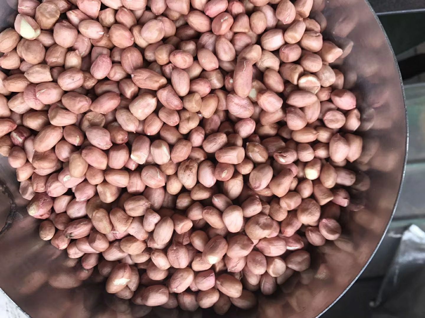 沙堰花生米现价揭秘，小巷中的美味秘密探索