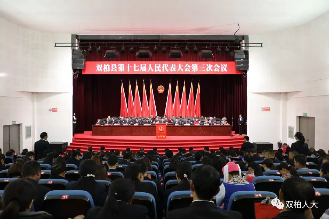 双柏县人事任免信息，时代背景下的人事调整重磅发布