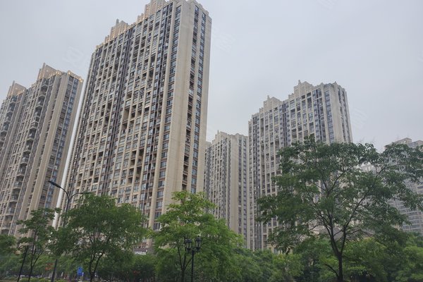 嘉兴金都夏宫最新房价信息及深度分析