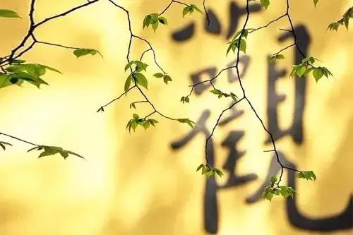 东风心经最新资讯，与自然共舞，探寻内心宁静之旅