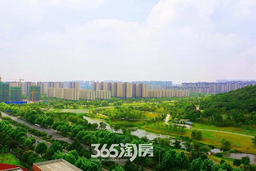 芜湖东部星城最新动态及观点论述揭秘
