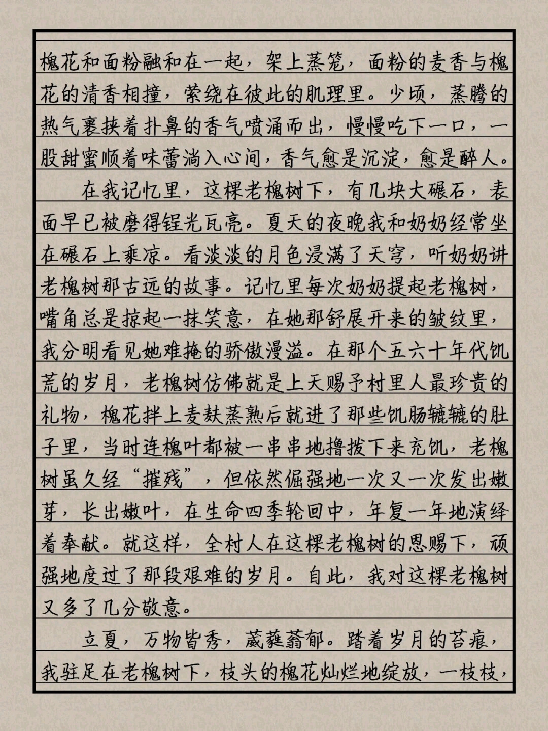高考作文满分佳作深度解析，巷弄深处的独特风味