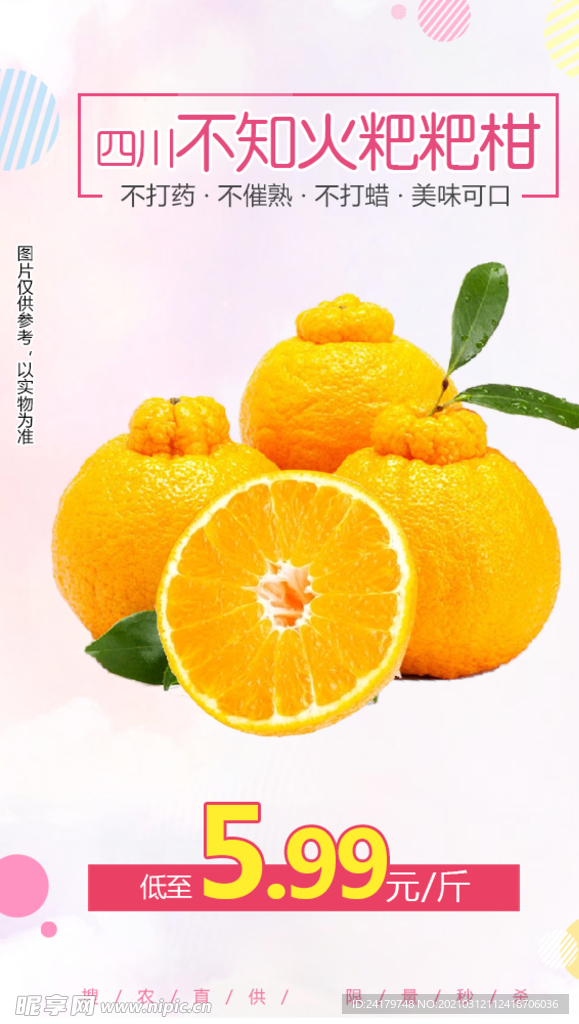 当季粑粑柑品尝最佳时刻，揭秘上市月份与新鲜口感体验！