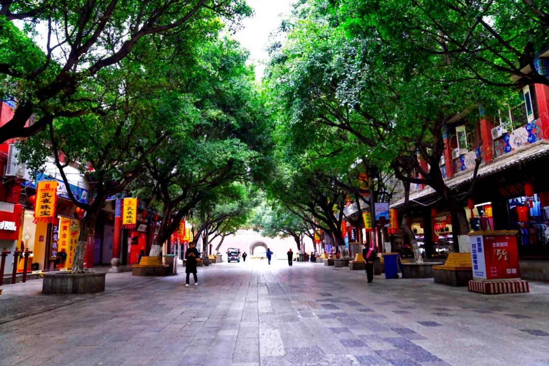 钓鱼大赛背景揭秘与巷弄深处的小店探险之旅