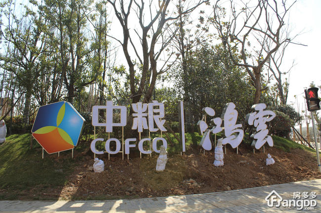 南京中粮鸿云最新动态更新