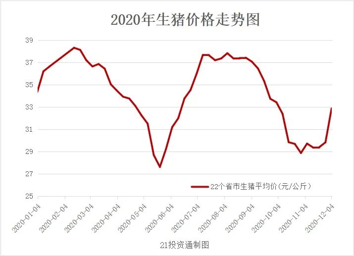 市场动态与趋势预测