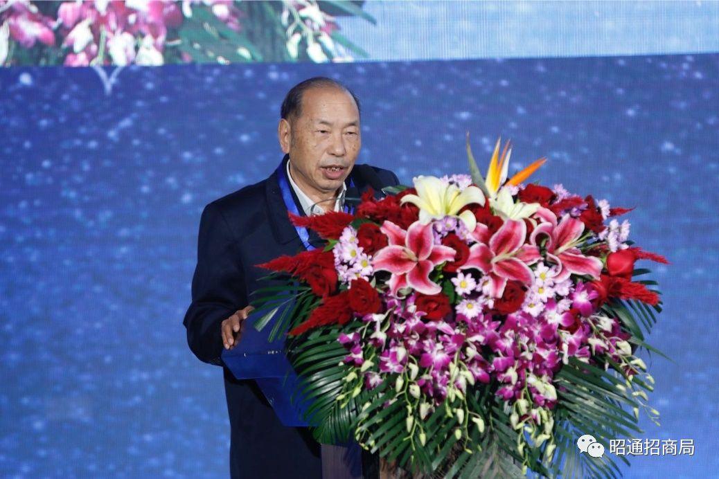 昭通医药招聘之旅，友情与梦想的交汇点