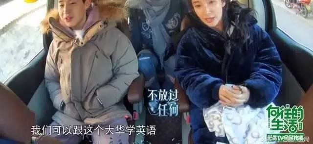 明星的英语之旅，温馨的友情故事与英语探索之旅