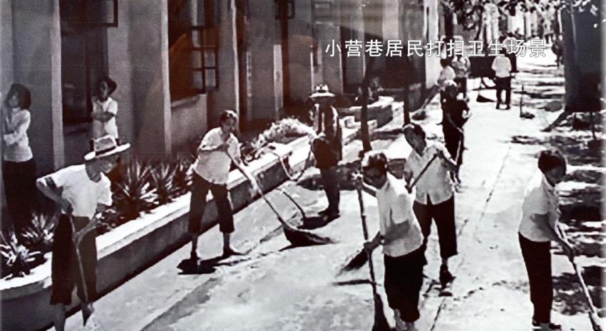 天国的树演员，时代的印记与文化的传承之探索者