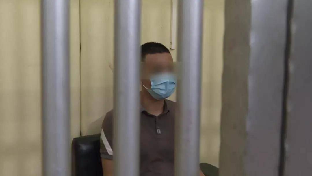 潮南疫情最新动态，变化中的力量与学习带来的自信与成就感