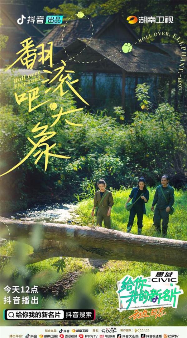 李冰冰深度资料，探索演员生涯的指南