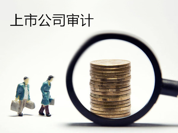 上市公司审计内容概览，全面解读审计流程与要点