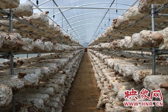 风机价格行情全面解析，最新行情指南