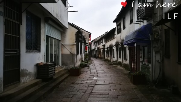 GNX行情深度解析，小巷里的独特风情