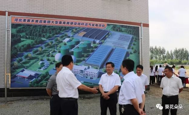 遵化高速占地进展最新动态及解读更新