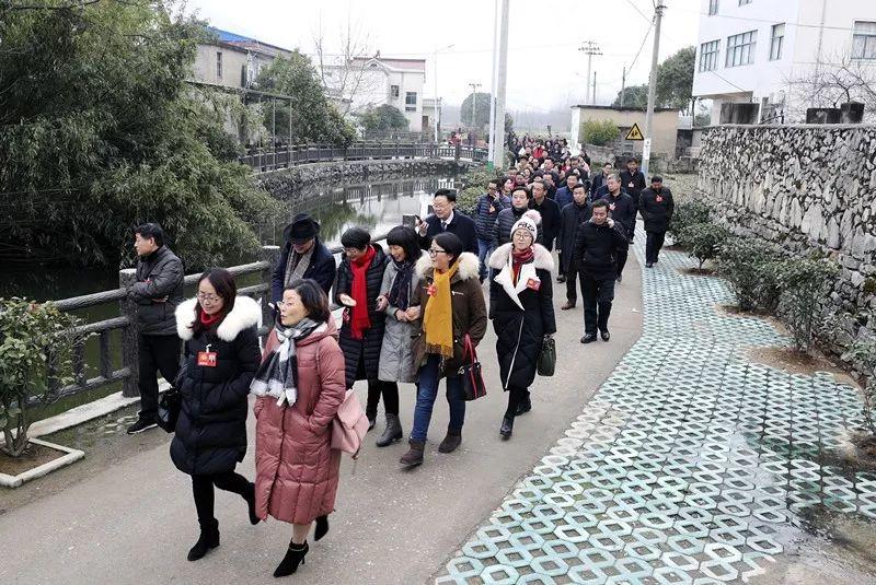 苹果5上市时刻与探索自然美景之旅的鼓舞